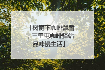 树荫下咖啡飘香，三里屯咖啡驿站品味慢生活