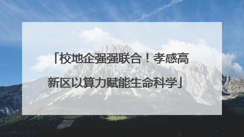 校地企强强联合！孝感高新区以算力赋能生命科学