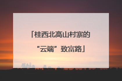 桂西北高山村寨的“云端”致富路