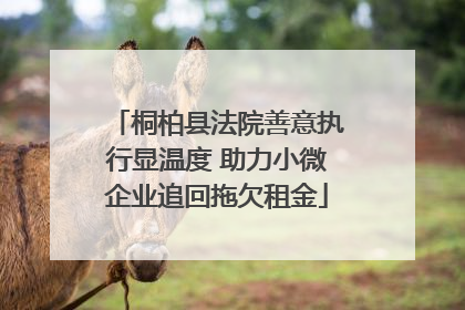 桐柏县法院善意执行显温度 助力小微企业追回拖欠租金