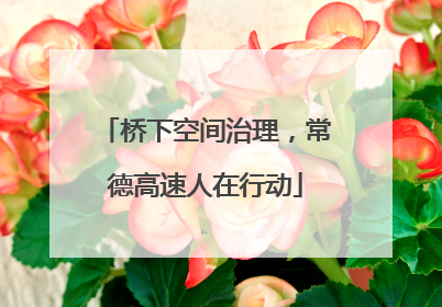 桥下空间治理，常德高速人在行动