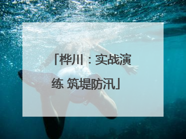 桦川：实战演练 筑堤防汛
