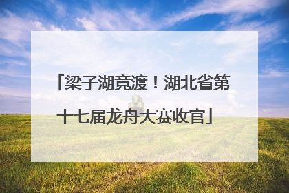 梁子湖竞渡！湖北省第十七届龙舟大赛收官