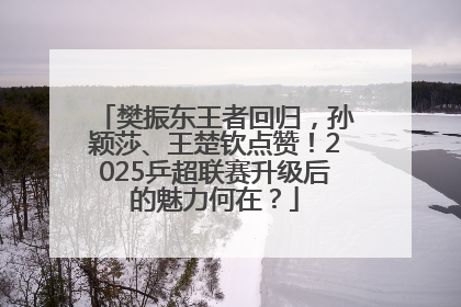樊振东王者回归，孙颖莎、王楚钦点赞！2025乒超联赛升级后的魅力何在？