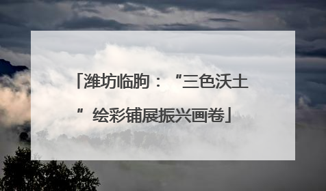 潍坊临朐：“三色沃土”绘彩铺展振兴画卷