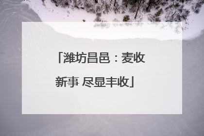 潍坊昌邑：麦收新事 尽显丰收