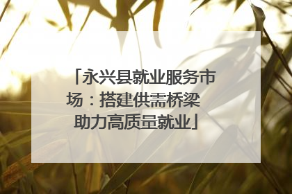 永兴县就业服务市场：搭建供需桥梁 助力高质量就业