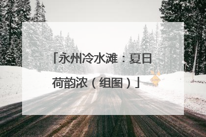 永州冷水滩：夏日荷韵浓（组图）