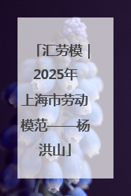 汇劳模｜2025年上海市劳动模范——杨洪山