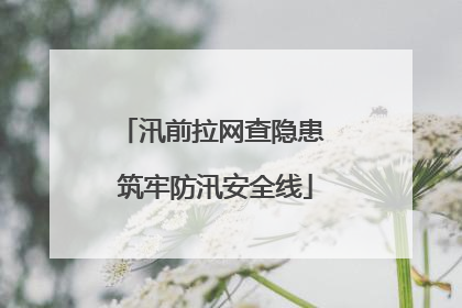 汛前拉网查隐患 筑牢防汛安全线