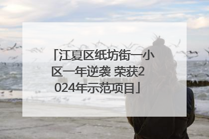江夏区纸坊街一小区一年逆袭 荣获2024年示范项目