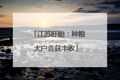 江苏盱眙：种粮大户喜获丰收