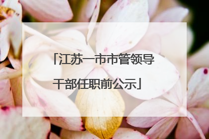 江苏一市市管领导干部任职前公示