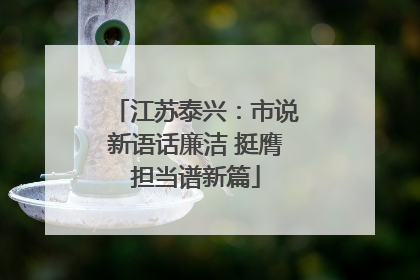 江苏泰兴：市说新语话廉洁 挺膺担当谱新篇