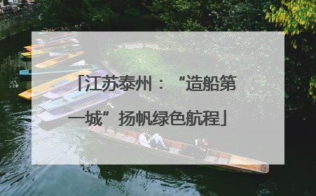 江苏泰州：“造船第一城”扬帆绿色航程