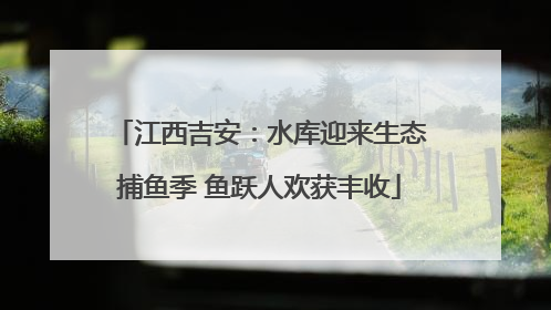 江西吉安：水库迎来生态捕鱼季 鱼跃人欢获丰收