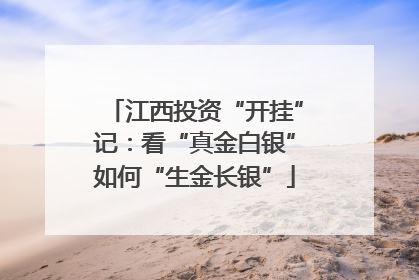 江西投资“开挂”记：看“真金白银”如何“生金长银”