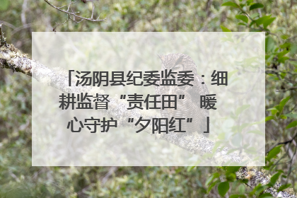 汤阴县纪委监委：细耕监督“责任田” 暖心守护“夕阳红”