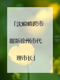 沈峻峰跨市履新徐州市代理市长