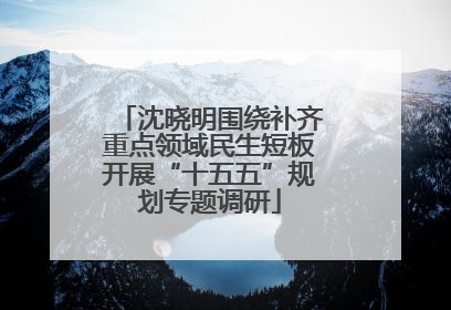 沈晓明围绕补齐重点领域民生短板开展“十五五”规划专题调研