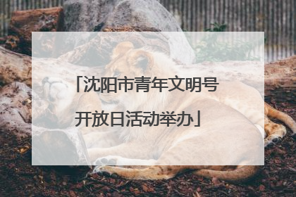 沈阳市青年文明号开放日活动举办