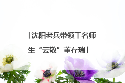 沈阳老兵带领千名师生“云敬”董存瑞