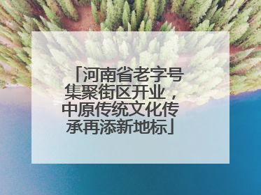 河南省老字号集聚街区开业，中原传统文化传承再添新地标