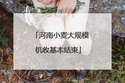 河南小麦大规模机收基本结束