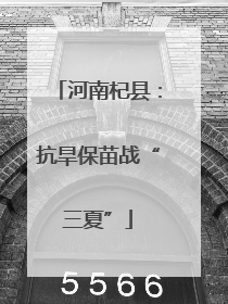 河南杞县：抗旱保苗战“三夏”