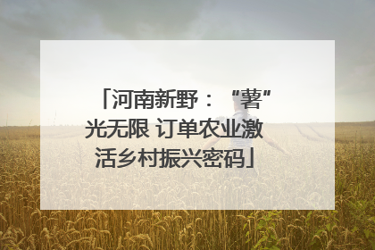 河南新野：“薯”光无限 订单农业激活乡村振兴密码