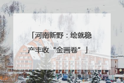 河南新野：绘就稳产丰收“金画卷”