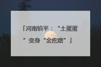 河南镇平：“土蛋蛋”变身“金疙瘩”