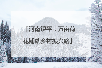 河南镇平：万亩荷花铺就乡村振兴路