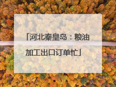 河北秦皇岛：粮油加工出口订单忙