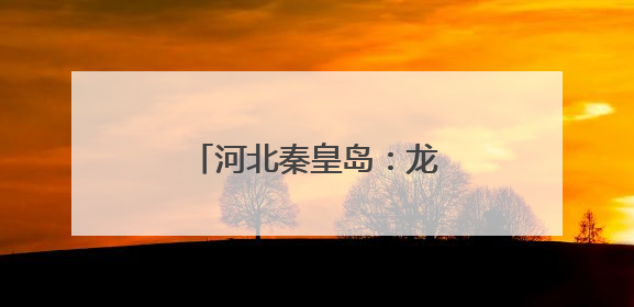 河北秦皇岛：龙舟竞渡迎端午