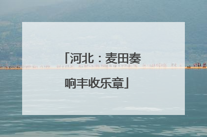河北：麦田奏响丰收乐章