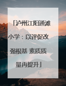 泸州江阳通滩小学：以评促改强根基 素质质量再提升