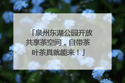泉州东湖公园开放共享茶空间，自带茶叶茶具就能来！