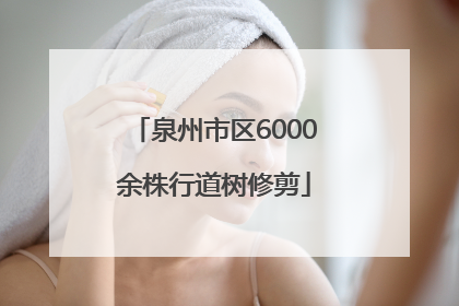 泉州市区6000余株行道树修剪