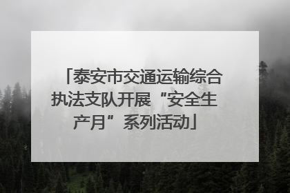 泰安市交通运输综合执法支队开展“安全生产月”系列活动