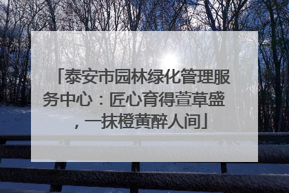 泰安市园林绿化管理服务中心:匠心育得萱草盛,一抹橙黄醉人间