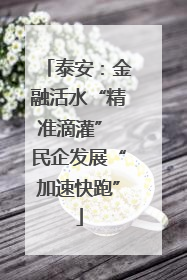 泰安：金融活水“精准滴灌” 民企发展“加速快跑”