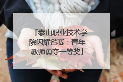 泰山职业技术学院闪耀省赛：青年教师勇夺一等奖