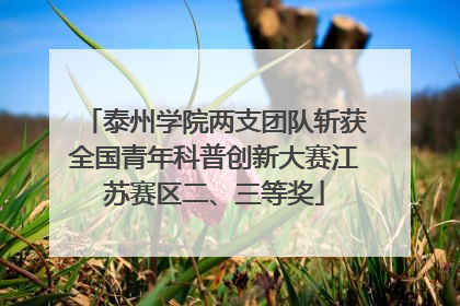 泰州学院两支团队斩获全国青年科普创新大赛江苏赛区二、三等奖