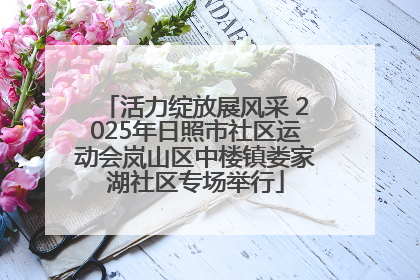 活力绽放展风采 2025年日照市社区运动会岚山区中楼镇娄家湖社区专场举行