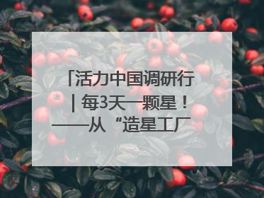 活力中国调研行｜每3天一颗星！——从“造星工厂”到太空织网的“银河速度”