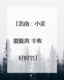 洛南：小麦覆陇黄 丰收好时节