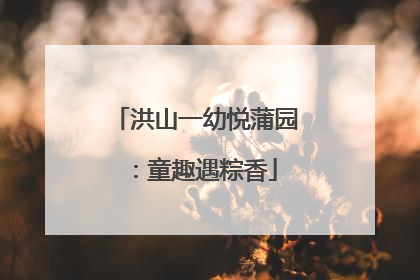 洪山一幼悦蒲园：童趣遇粽香