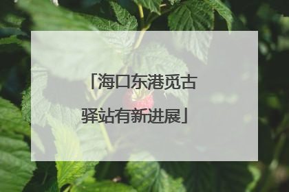 海口东港觅古驿站有新进展