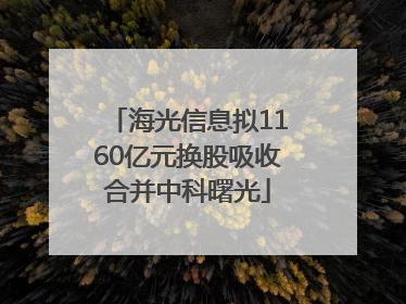 海光信息拟1160亿元换股吸收合并中科曙光